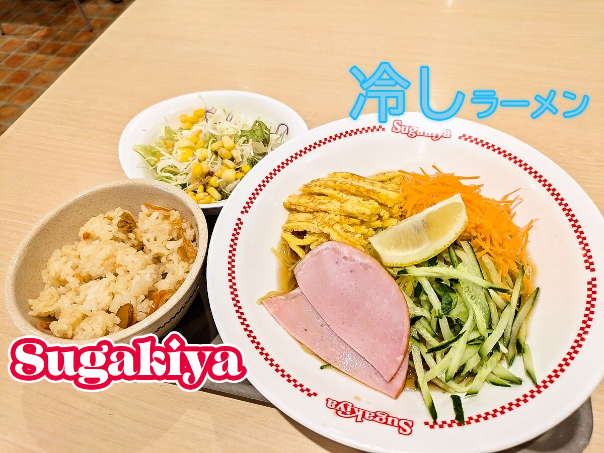 冷しラーメン+五目サラダセット