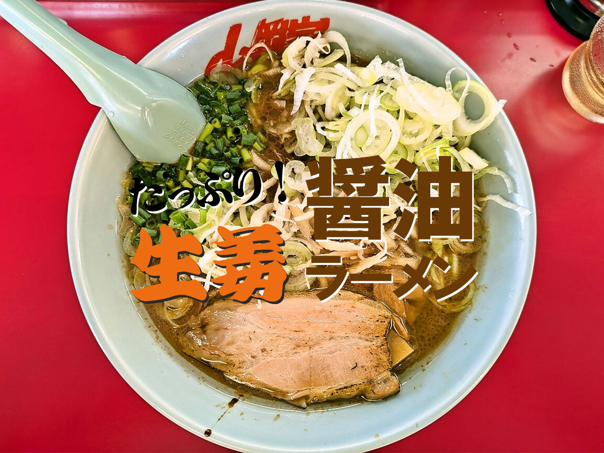 たっぷり生姜醤油ラーメン