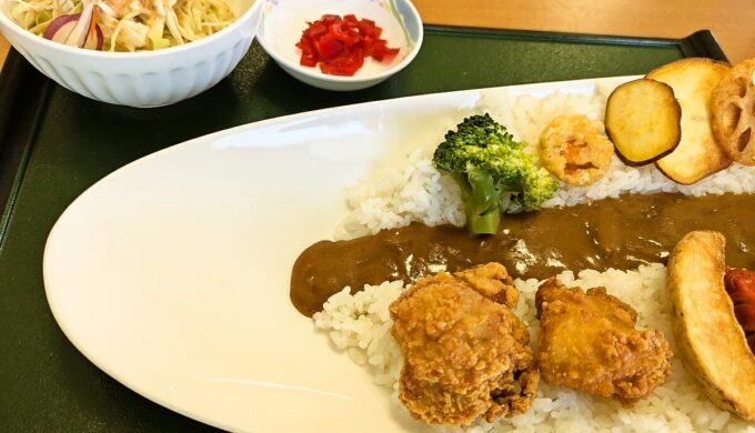 徳山ダムカレー