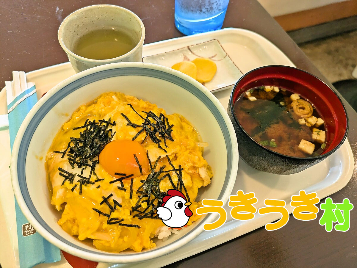 とろとろ親子丼