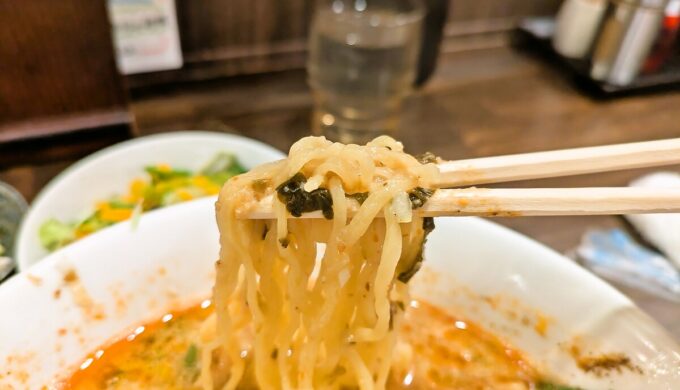 担々麺とにんにく炒飯