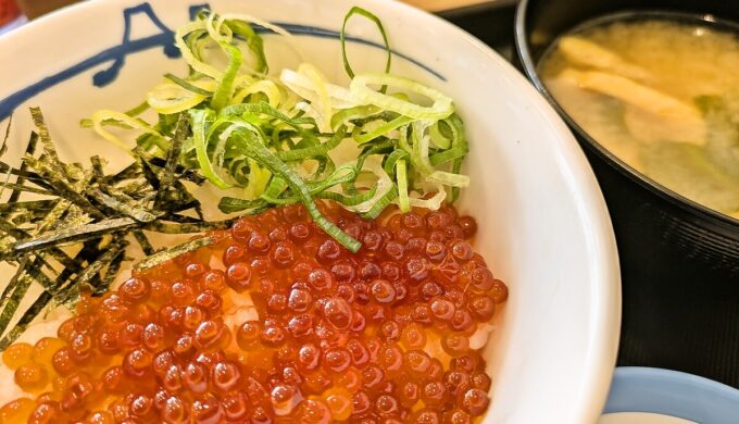 いくら丼