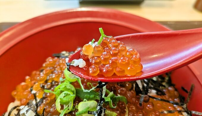 いくら丼