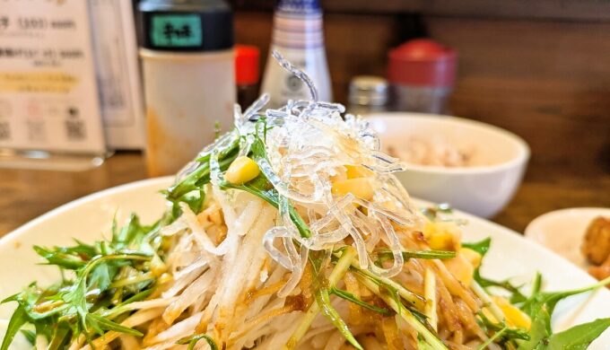 冷やしサラダ麺