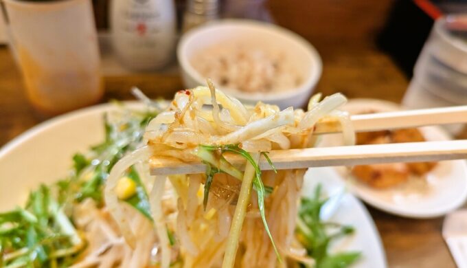 冷やしサラダ麺