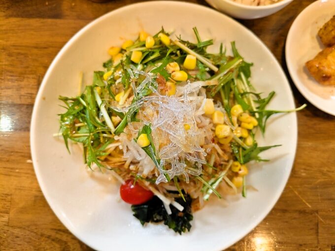 冷やしサラダ麺