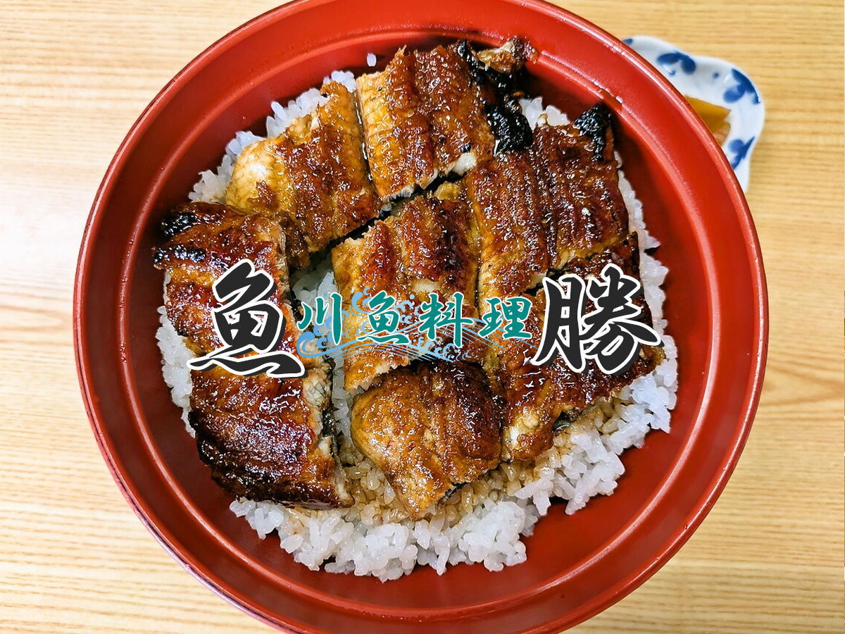 うなぎ丼上