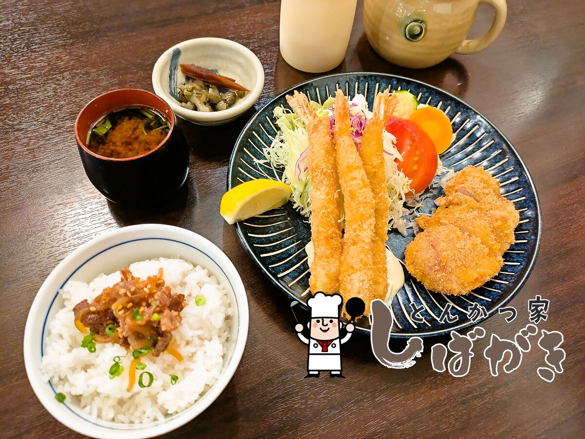 特選ひれカツと海老フライランチ