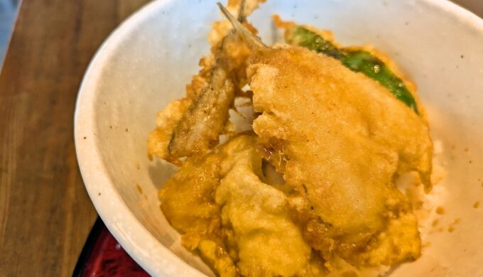 きしめん（ころ）+きすとメゴチと穴子の天丼