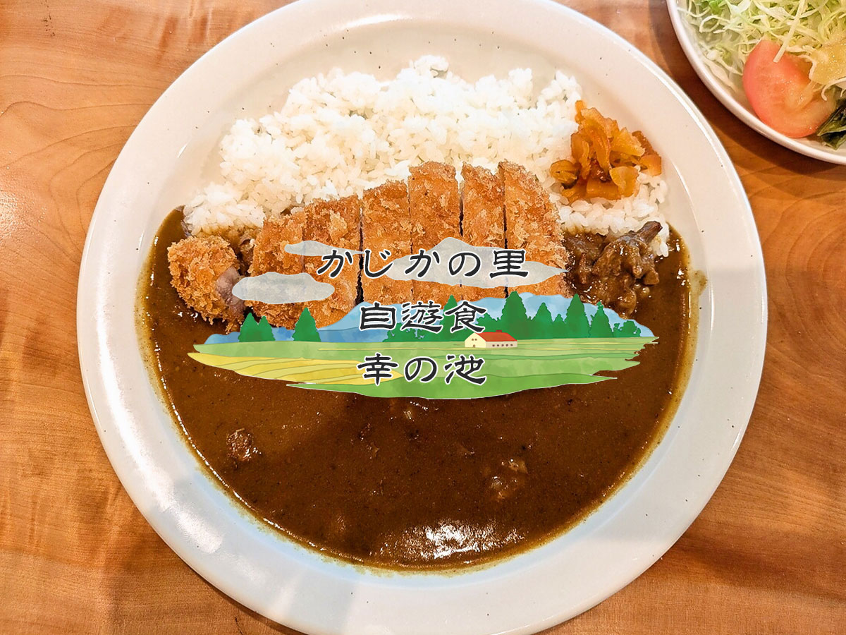 かつカレー