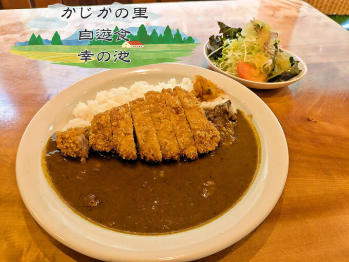 かつカレー
