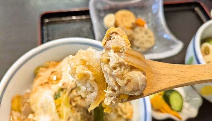 親子丼+ミニきしころ