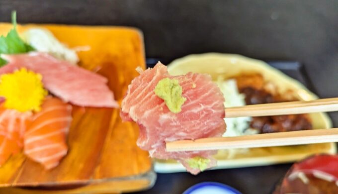 生まぐろトロサーモン刺身ランチ