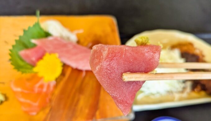 生まぐろトロサーモン刺身ランチ