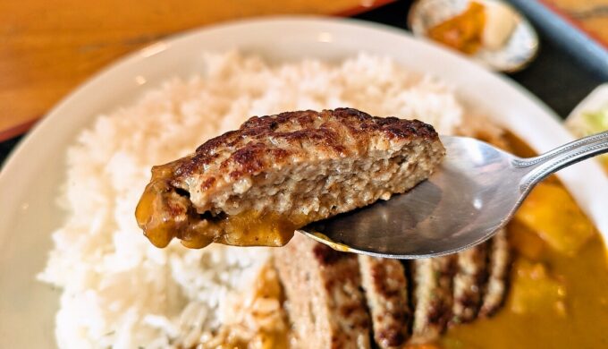 ハンバーグカレー