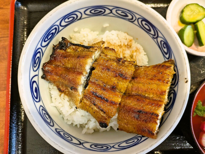 うな丼半尾