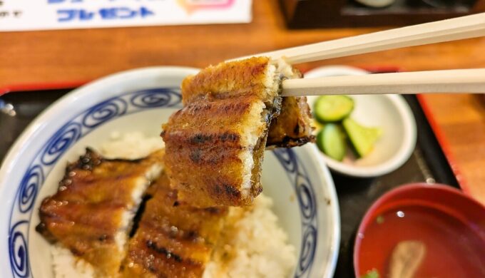 うな丼半尾