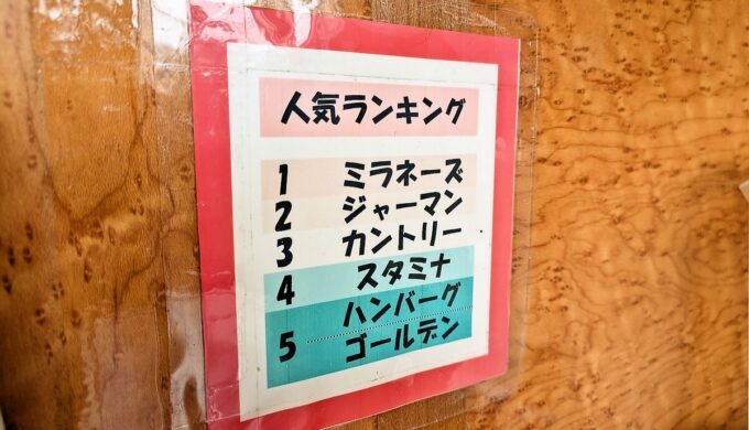 人気ランキング