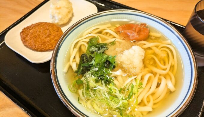 梅しそおろしうどん