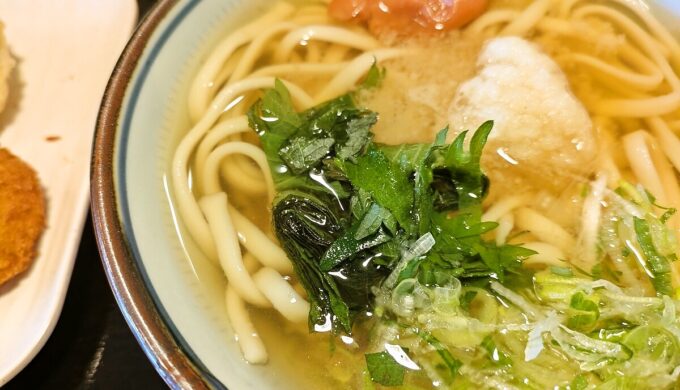 梅しそおろしうどん