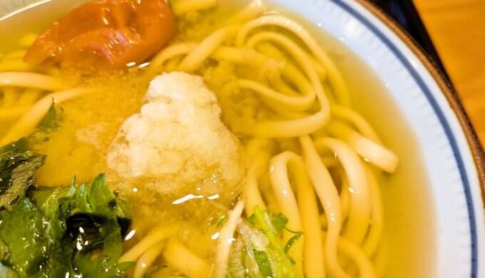 梅しそおろしうどん