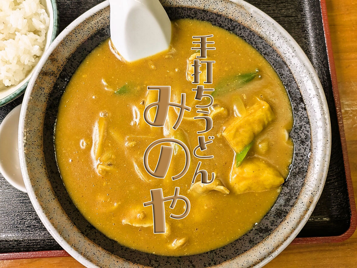 中辛カレーうどん