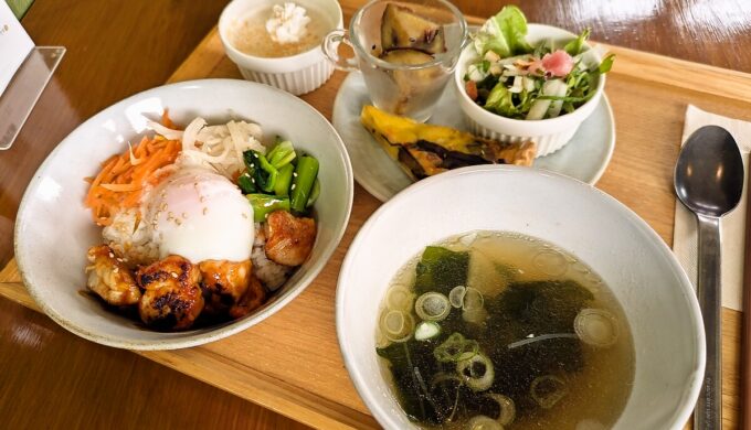 ヤンニョムチキン丼