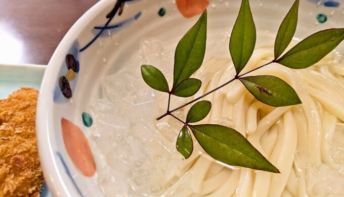 冷やしうどんランチ