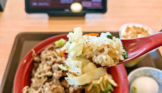 おんたまシャキうま塩野菜牛丼