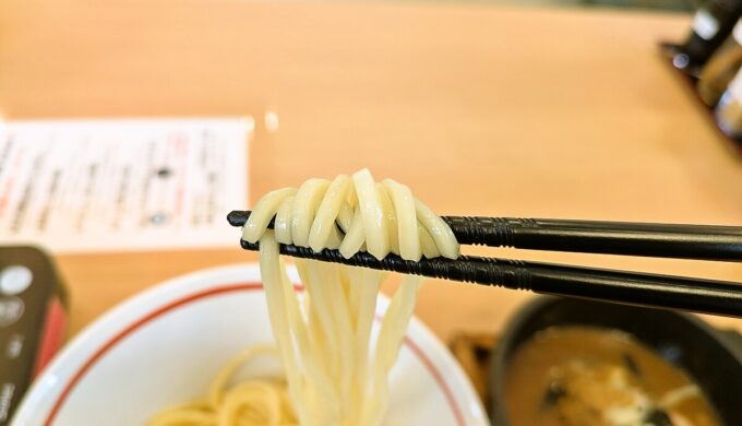 濃厚魚介つけ麺