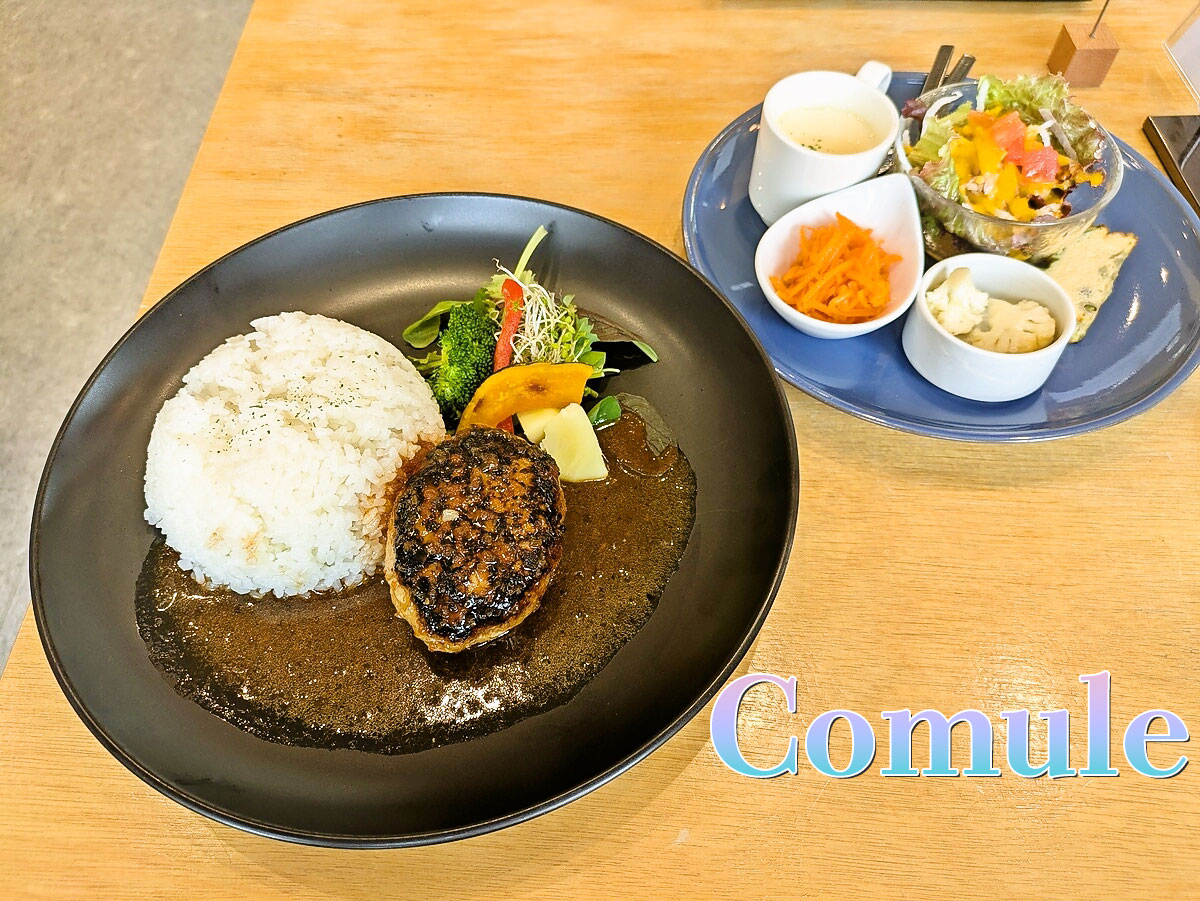ハンバーグランチ