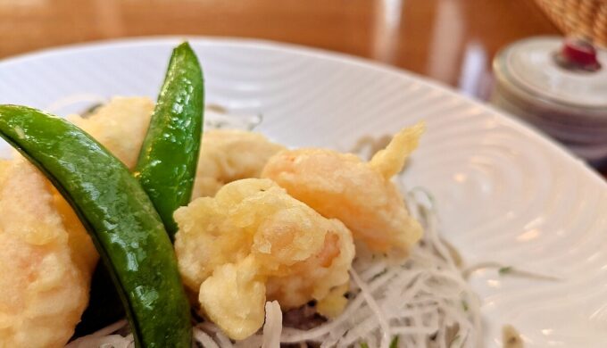 天ちらしそば膳