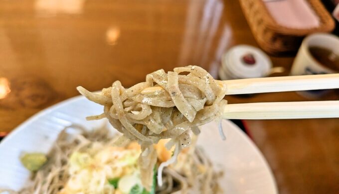 天ちらしそば膳