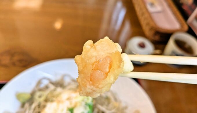 天ちらしそば膳