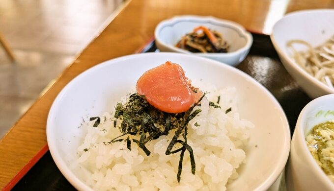 天ちらしそば膳