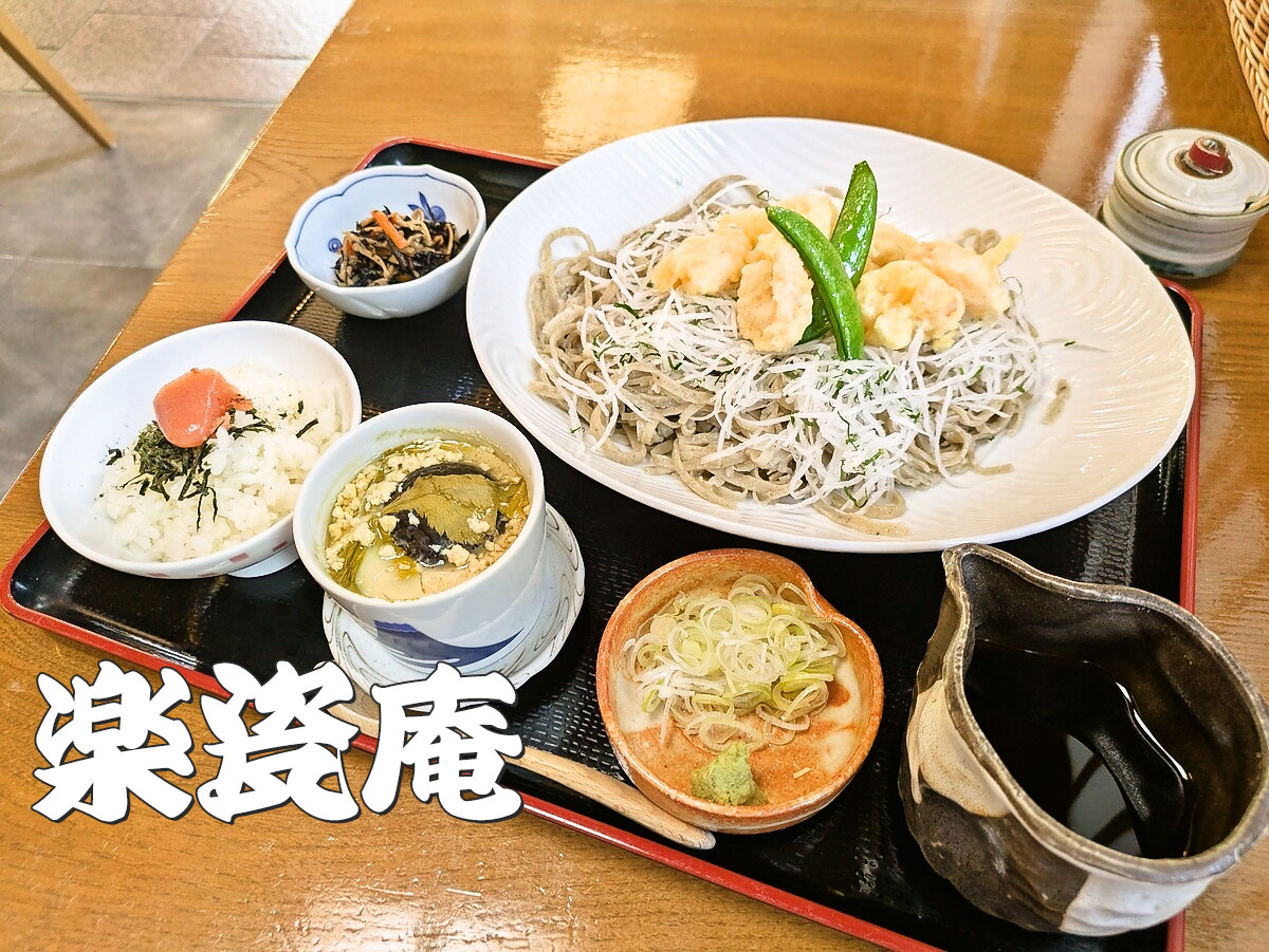 天ちらしそば膳