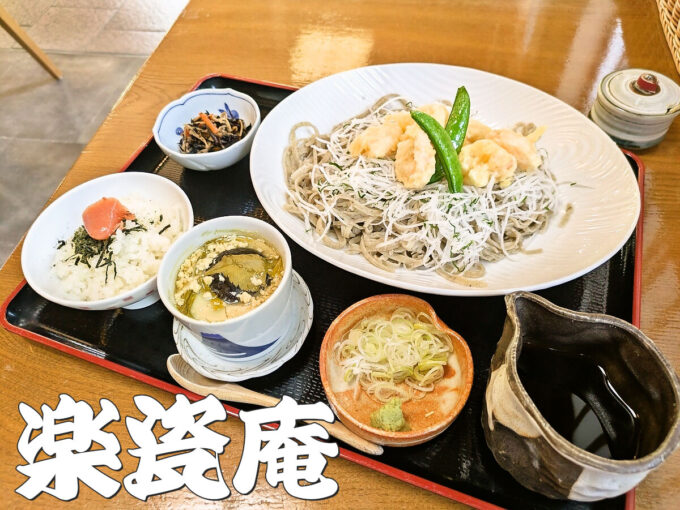 天ちらしそば膳