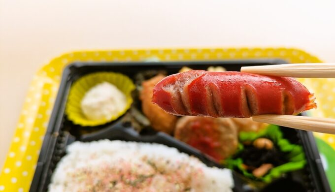 10種のおかずの幕の内弁当