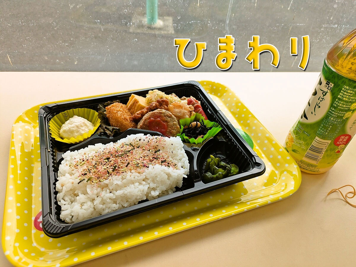 10種のおかずの幕の内弁当