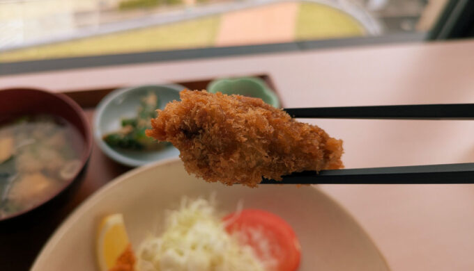 日替わりランチ