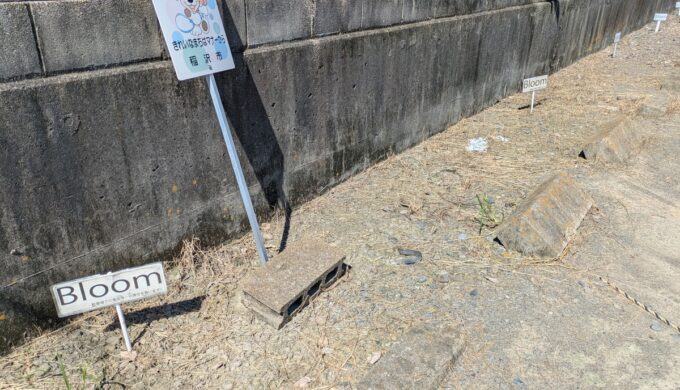 駐車場と外観