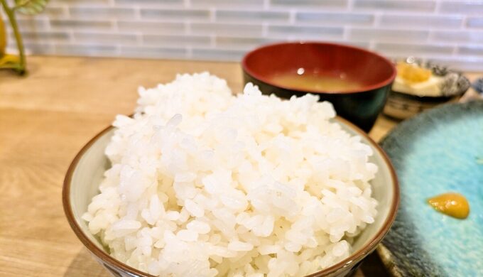 メンチカツランチ